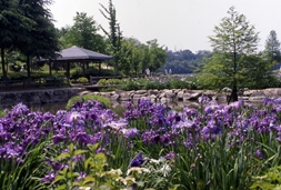 春日池公園1