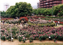 ばら公園⑤