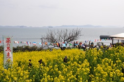 菜の花祭り②