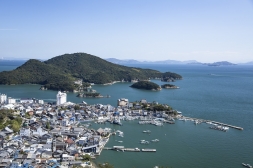 医王寺からの風景2