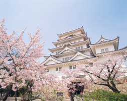 桜の福山城1