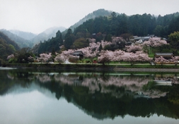 熊野水源地（熊野町）　　32回