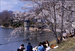 服部大池公園（駅家町）①