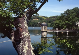 服部大池公園②