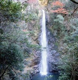 山野峡　龍頭の滝