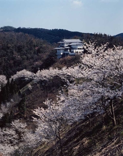 吉野山公園