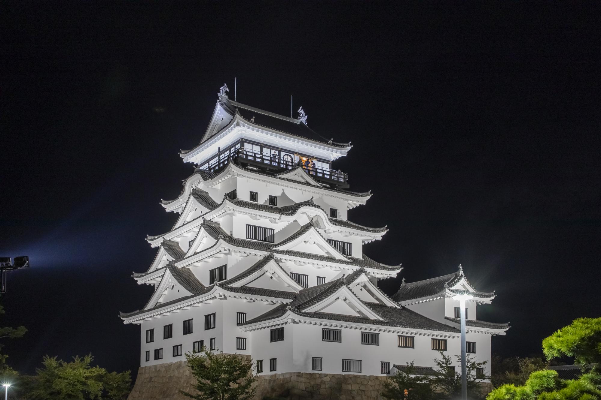 福山城夜