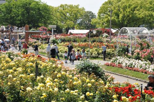 ばら公園