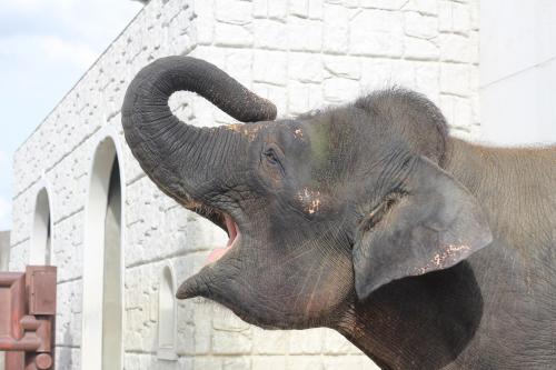 福山市立動物園