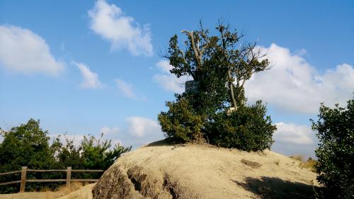 王城・切石山公園