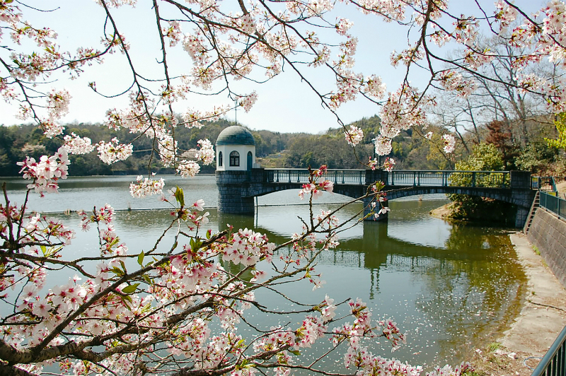 服部大池公園