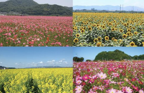 道の駅笠岡ベイファーム