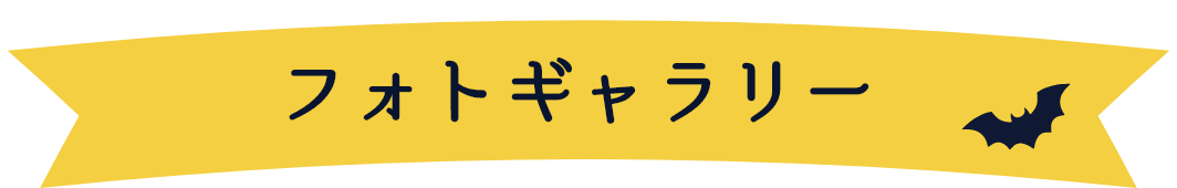 ギャラリー
