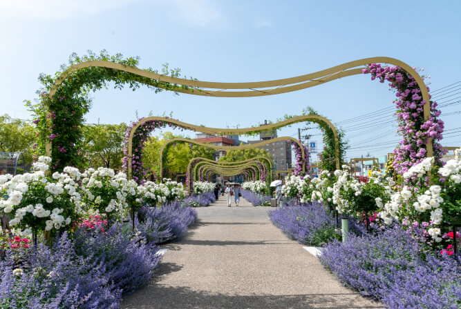 ばら公園