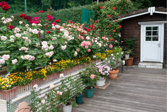 UEMOTO TENNIS SCHOOL & ROSE GARDEN