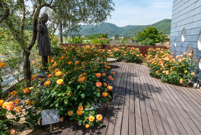 ホロコースト記念館 アンネのバラ園