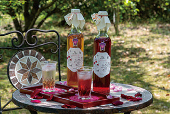 マチモト薔薇農園