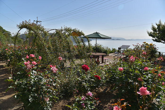 田尻ばら園