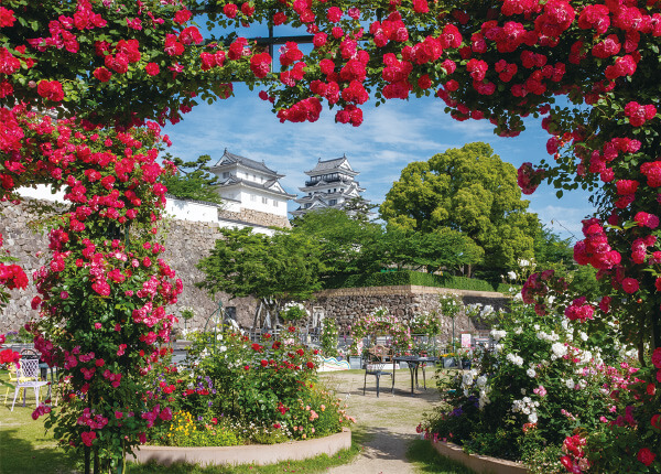 福山駅から徒歩でいく、ばらのおさんぽコース