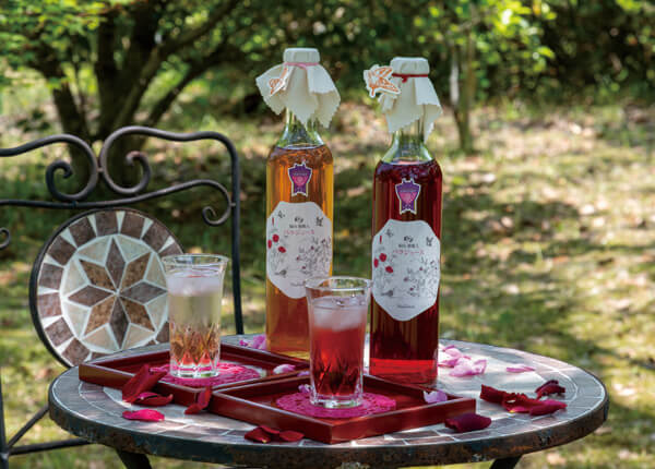 「アンネのバラ園」と「マチモト薔薇農園」で平和とばらを感じるコース